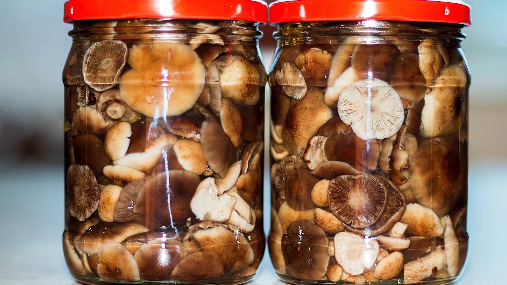 Опята приготовление на зиму. Грибы опята маринованные. грибы опята соленые. опята грибы в банках. грибы опята консервированные.