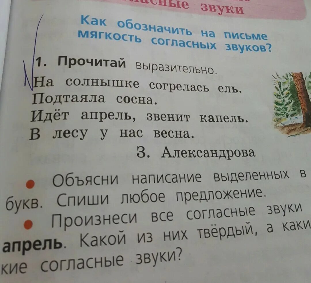 Подчеркни весенние слова. На солнышке согрелась ель подтаяла сосна. Солнышко согревает. На солнышке согрелась. Предложение на солнышке согрелась.