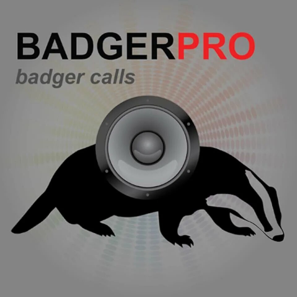 Badger на русском. Real badger. badger телефон гта. privacy badger. баджер собака.