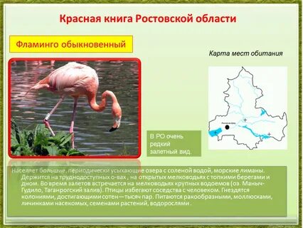 Красная книга обыкновенный