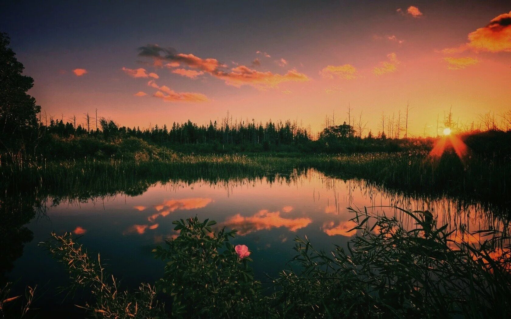 Природа вечер. Вечерний закат. Закат на озере. Розовый рассвет над озером. Песня как над бережком рыжеусое солнце вставало