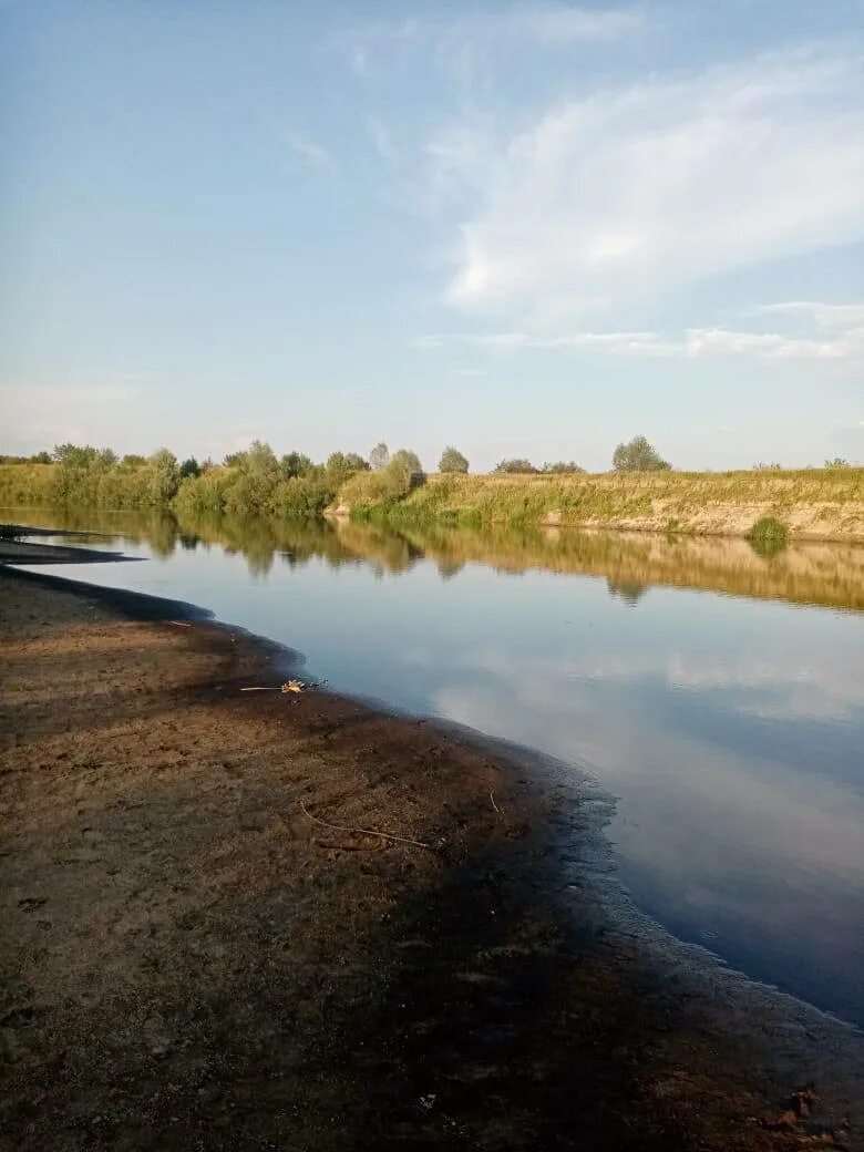 Уровень реки мокша. Река мокша в мордовии. теньгушево мокша. озеро мокша стерлитамак. река мокша теньгушево.
