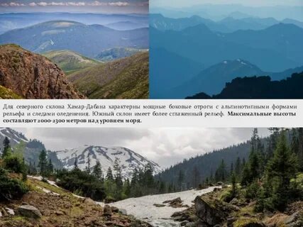 Скалистые отроги управление