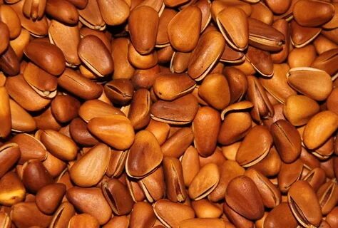 Nuts sort