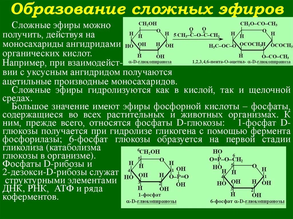 Получение простых и сложных эфиров из моносахаридов. Образование простых и сложных эфиров моносахаридов. Образование сложных эфиров из моносахаридов. Образование простых эфиров моносахаридов.