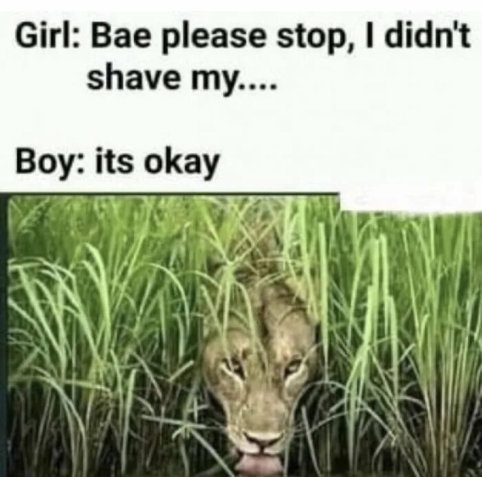 Don t play with time. Dont play bae stop please. okay stop please go to crane. stop please stop please aaaaaahhhh.