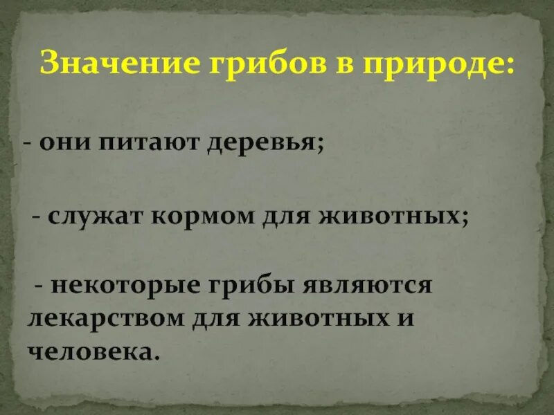 Значение грибов в природе 7 класс биология. Значение грибов в природе. Значениегриюов в природе. Каково значение грибов в природе. Грибы значение в природе.