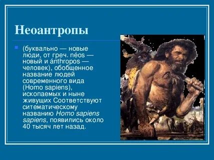 Особенности строения и образ жизни неоантропы