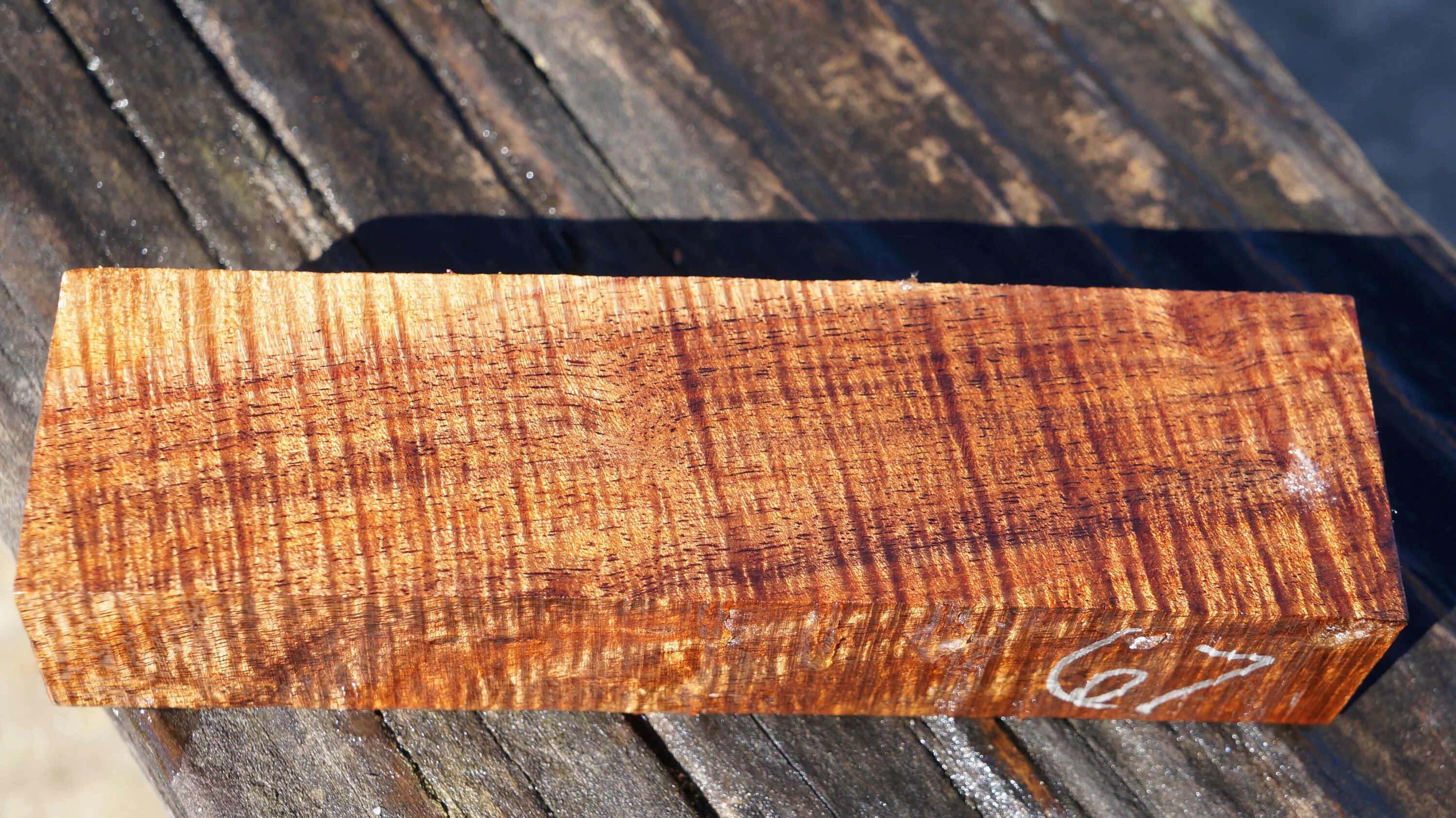 Керамогранит альпина вуд бежевый. Out of the woods. Creto new wood 1nн120 темно-бежевый матовый керамогранит 19,8х119,8. Серанит. New woods.