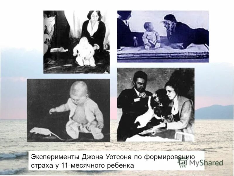 Джон эксперимент. Джон эксперимент
