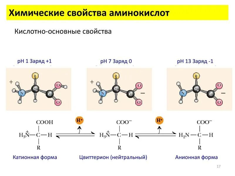 Химические свойства аминокислот кислотно-основные свойства. Физико-химические свойства α-аминокислот. Физические св-ва аминокислот. Особенности химических свойств аминокислот.