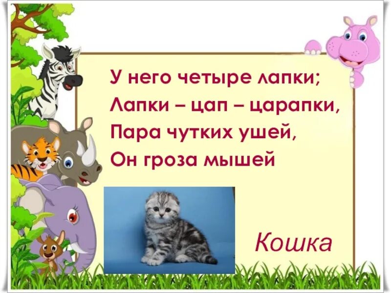 Чуткие ушки зверька ловят сигнал падежи. Мягкие лапки а в лапках царапки загадка. У него четыре лапки лапки ЦАП царапки пара чутких ушей он гроза. Лапка загадка. Лапки ЦАП царапки.