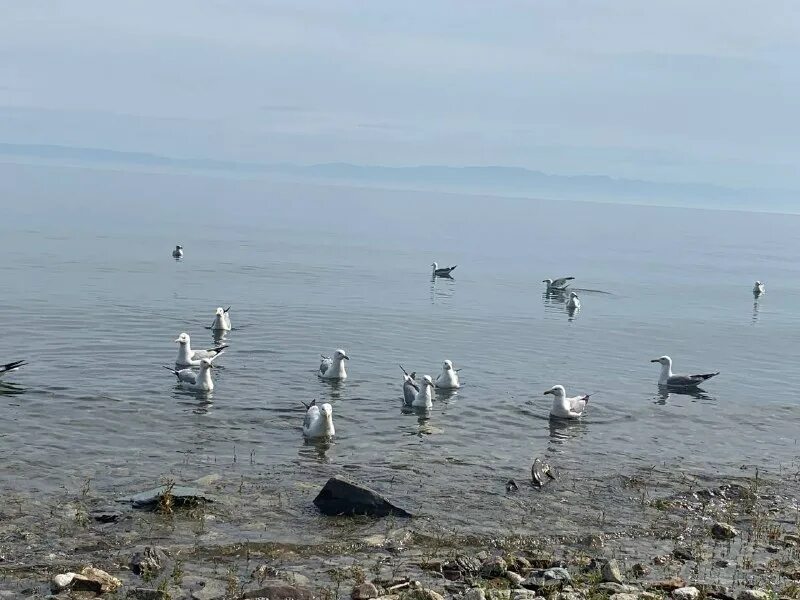 Сибирь на позитиве последнее. Сибирь на позитиве последнее. Сибирь на позитиве последнее. Сибирь на позитиве последнее. Сибирь на позитиве последнее.