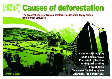 Deforestation causes