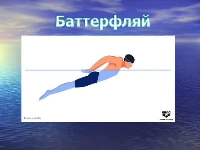 Мышцы при плавании. Мышцы при плавании