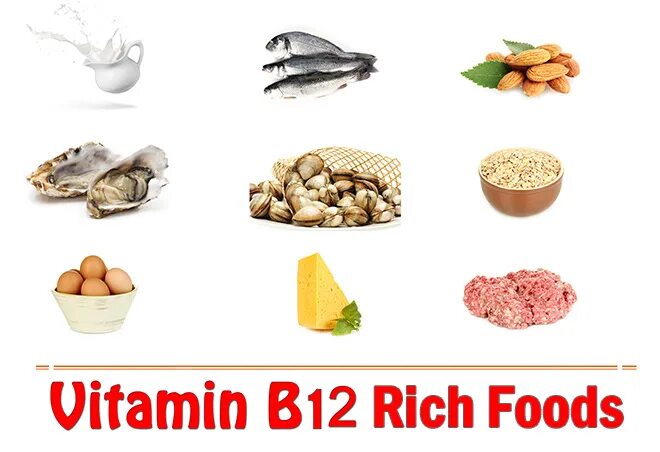 Витамин б в рыбе. Продукты богатые витамином в12 таблица. Витамин б в рыбе. Витамин рр содержится в продуктах. Витамин б в рыбе.