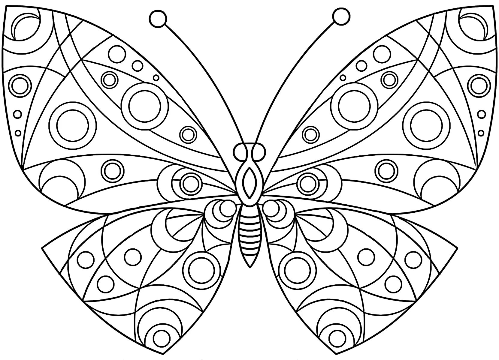 Раскраска "бабочки". Бабочка раскраска для детей. Раскраска для девочек бабочки. Бабочка раскраска для малышей. Бабочки раскраски для детей 5 6 лет