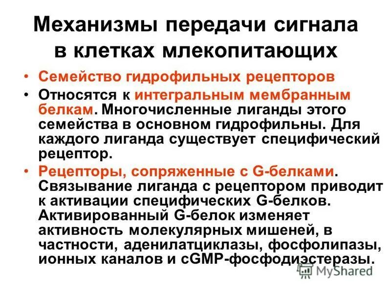 к дистантным рецепторам относятся рецепторы. по способу восприятия раздражения рецепторы подразделяются на. контактные рецепторы. к дистантным рецепторам относятся. взаимодействие с рецептором.