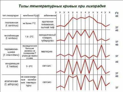 Какая температура в круглом