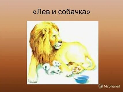 Л толстой лев и собачка кратко