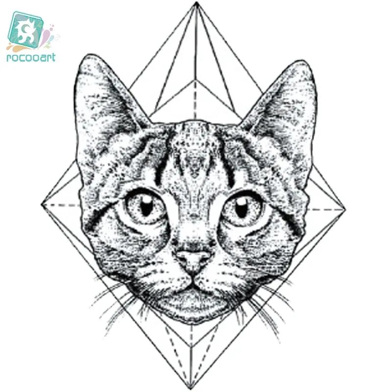 Треугольная форма головы у кошек. Кошачьи морды форма. Клиновидная голова кошки. Клиновидная голова кошки. Клиновидная форма головы у кошки.