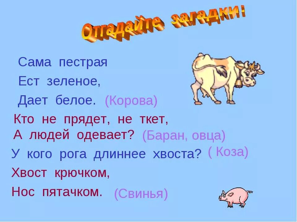 Сама пестр. Не прядет не ткет а людей одевает. Отгадай загадку не прядет не ткет а людей одевает. У кого рога длиннее хвоста. Загадка про козу.