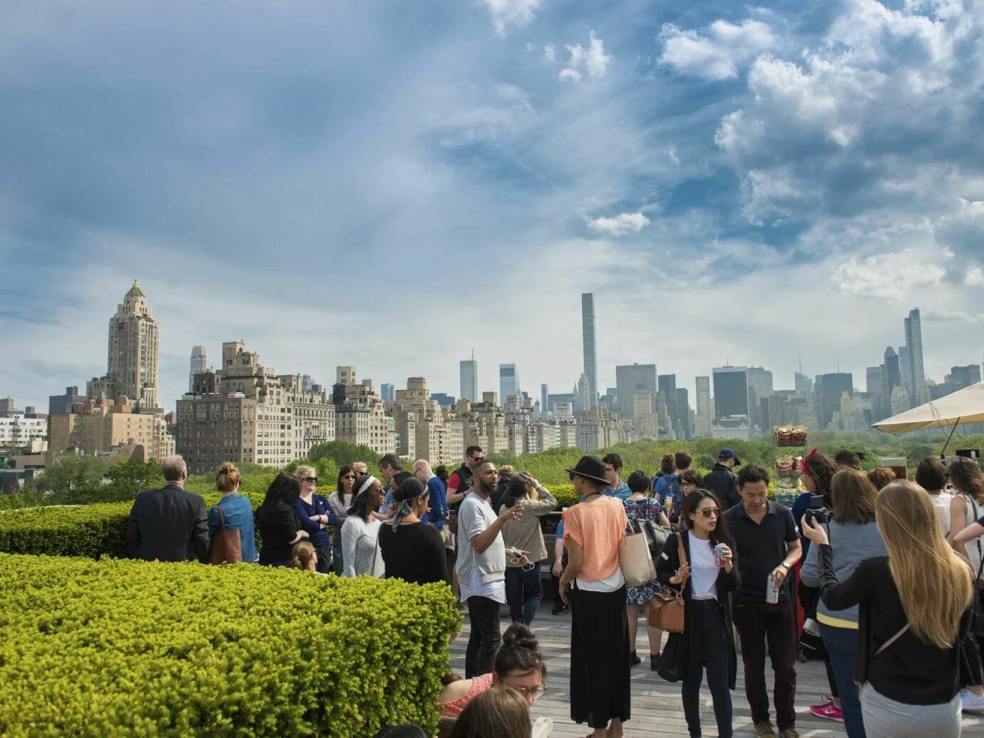 Стэнфордский университет внутри библиотека. Школа святого георгия в нью-йорке. Центральный парк нью йорк олмстед. Школа английского языка в америке. Централ парк лужайка.