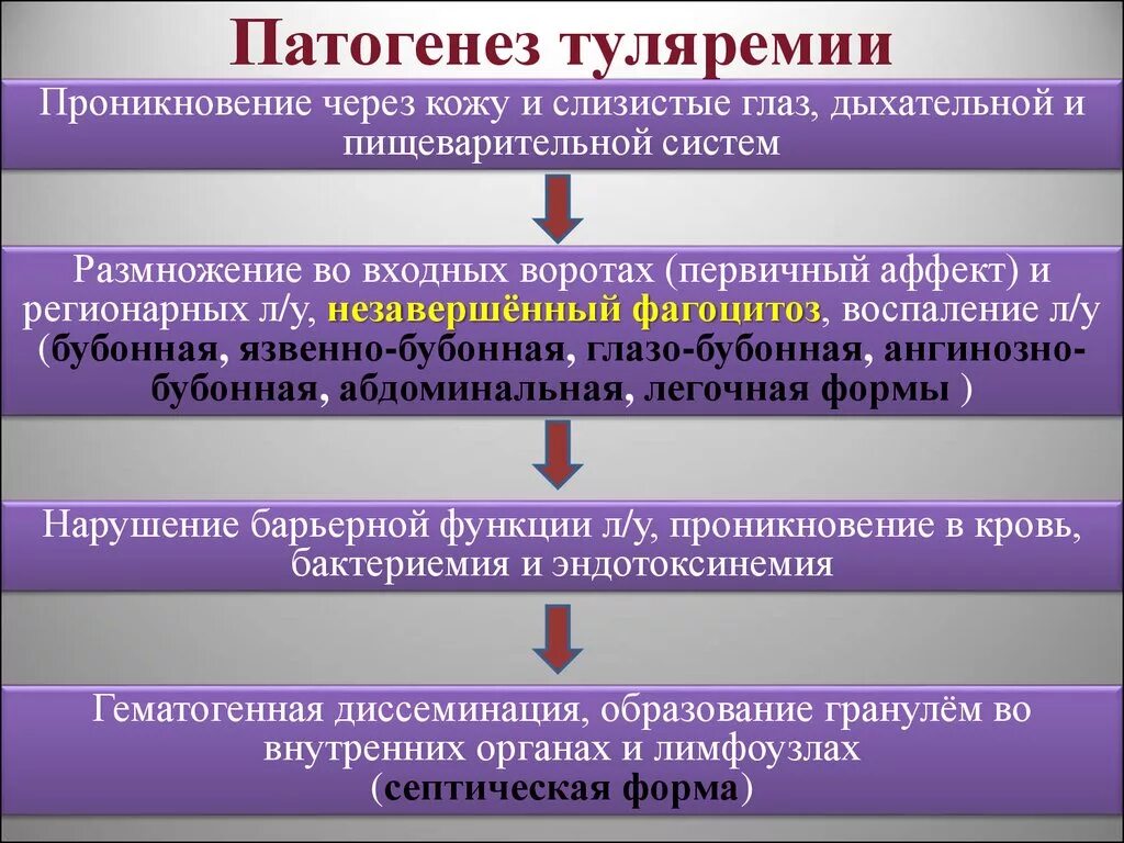 Патогенез животных. Возбудитель чумы патогенез. патогенез туляремии микробиология. возбудитель туляремии патогенез. чума микробиология патогенез.