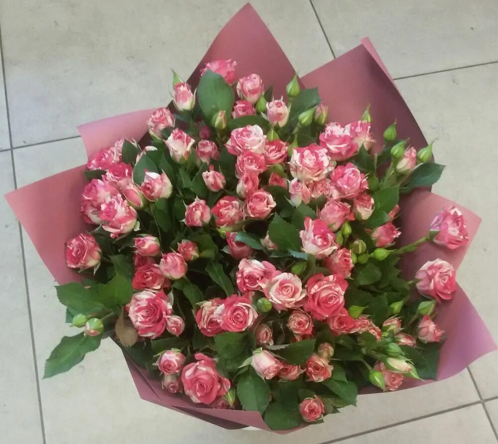 Букет из кустовых роз купить. 25 Кустовых роз букет. Букет из 25 кустовых роз. Букет с кустовой розой.
