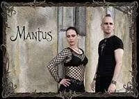 Insel mantus