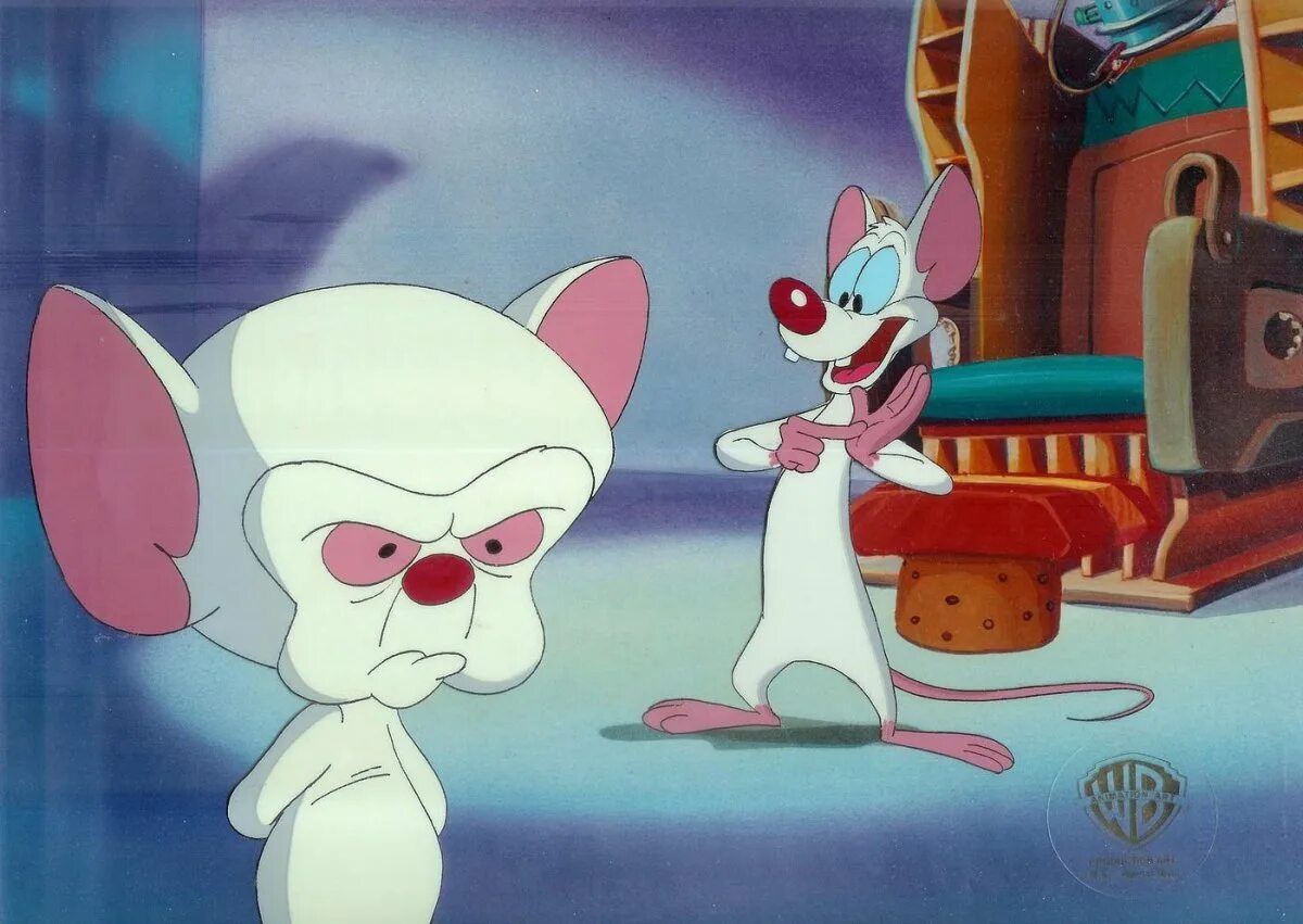 Pinky and brain. Пинки и Брейн Пинки и Брейн. Пинки Элмайра и Брейн.