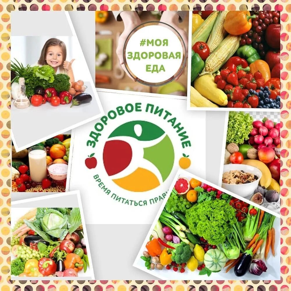 санитарно-просветительская программа "основы здорового питания". роспотребнадзор правильное питание. правильное питание роспотребнадзор. нацпроект здоровое питание. рекомендации по правильному питанию зимой.
