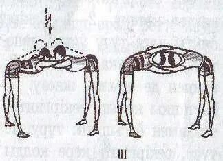 Поп жұлдыздарының жасырын камерасы