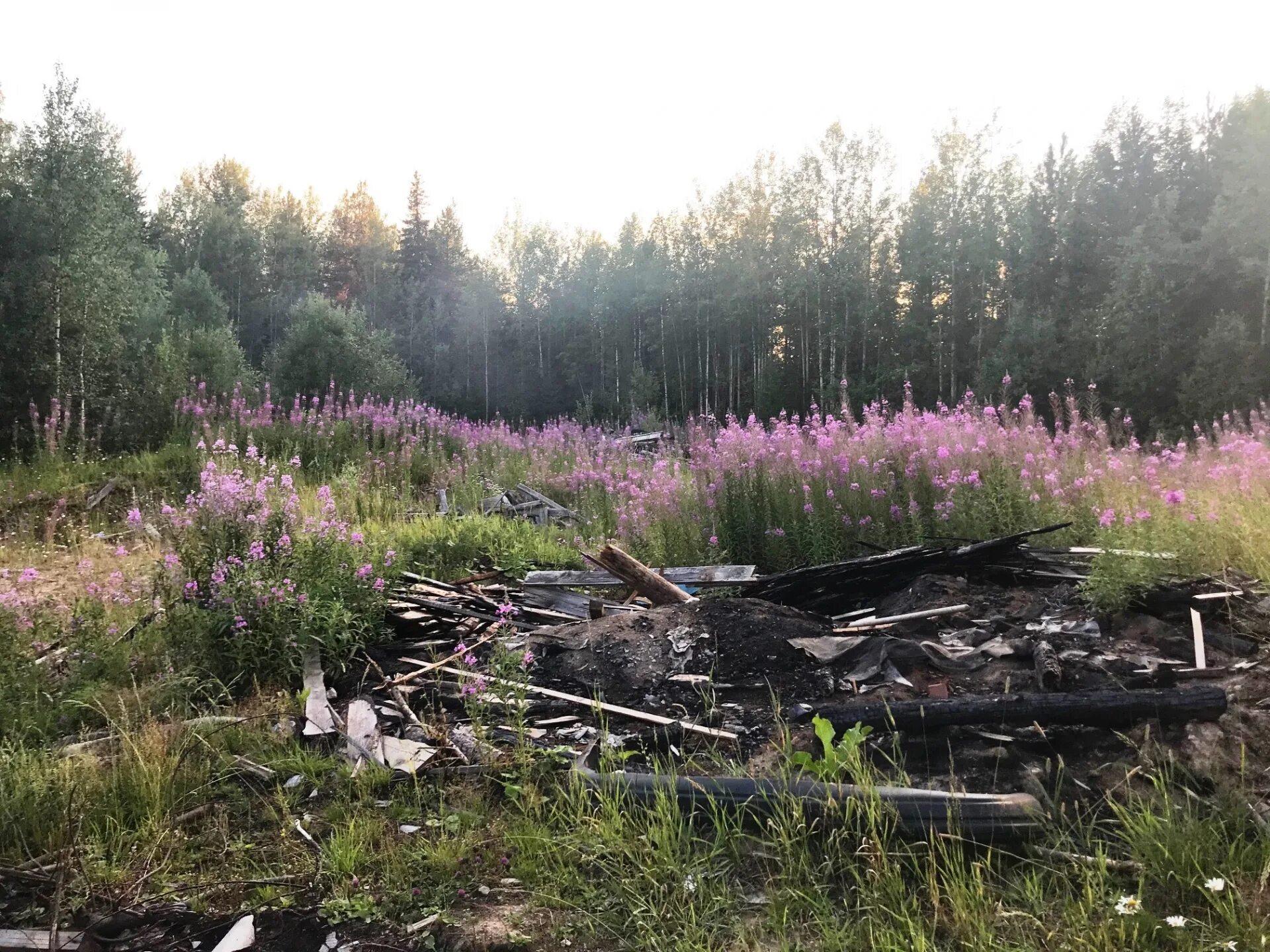 Сайт минприроды республики коми. Усть-Куломский район Республики Коми. Поселок Паспом Усть-Куломский район. Заброшенные деревни Усть Куломского района Коми Республики.