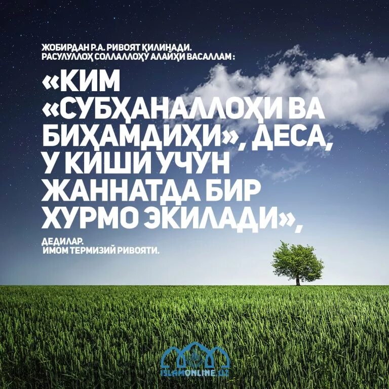 Hadislar to'plami kitobi. Хадисла. Hadislar to plami. Hadislar to plami. Телеграм канал.