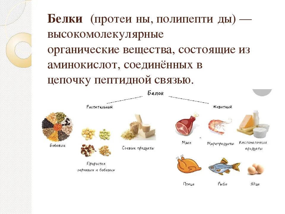 Продукты содержащие белки растительного происхождения. Белок животного происхождения список продуктов. Белки растительного происхождения и животного происхождения. В каких продуктах содержатся белки животного происхождения. Источник белковых продуктов