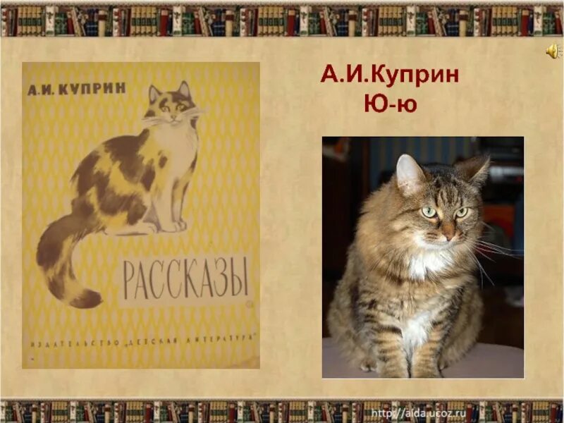 Ю ю читать 6. Кошка ЮЮ Куприн. Рассказ ю-ю Куприн. Куприн ю-ю иллюстрации.