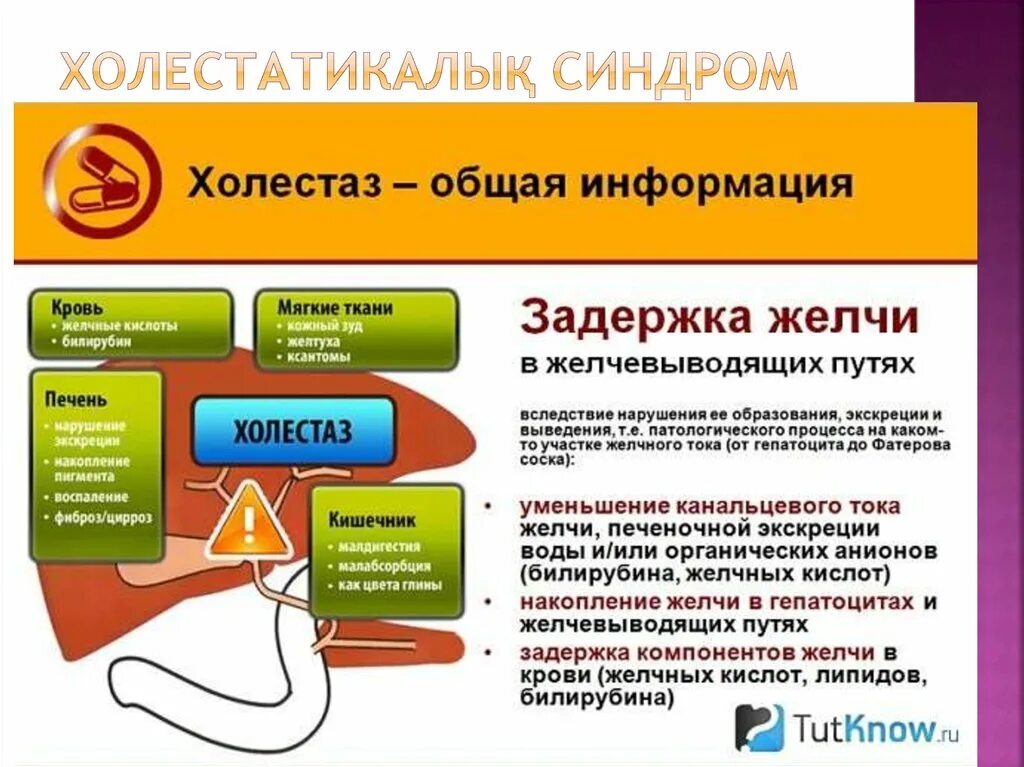 Холестаз. Признаки холестаза. Синдром холестаза симптомы. Причины развития холестаза.