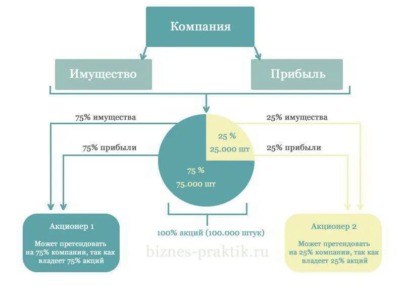 Как распределить акции. Как работают акции компаний. как распределяется прибыль между инвесторами.