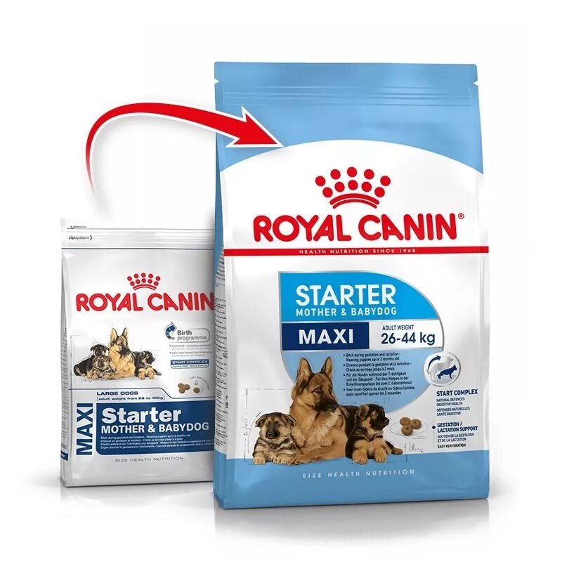 Корм royal canin maxi. Royal Canin Maxi Starter. Роял Канин стартер макси 3 кг. Royal Canin Maxi Starter (15 кг). Роял Канин макси Паппи 20 кг.