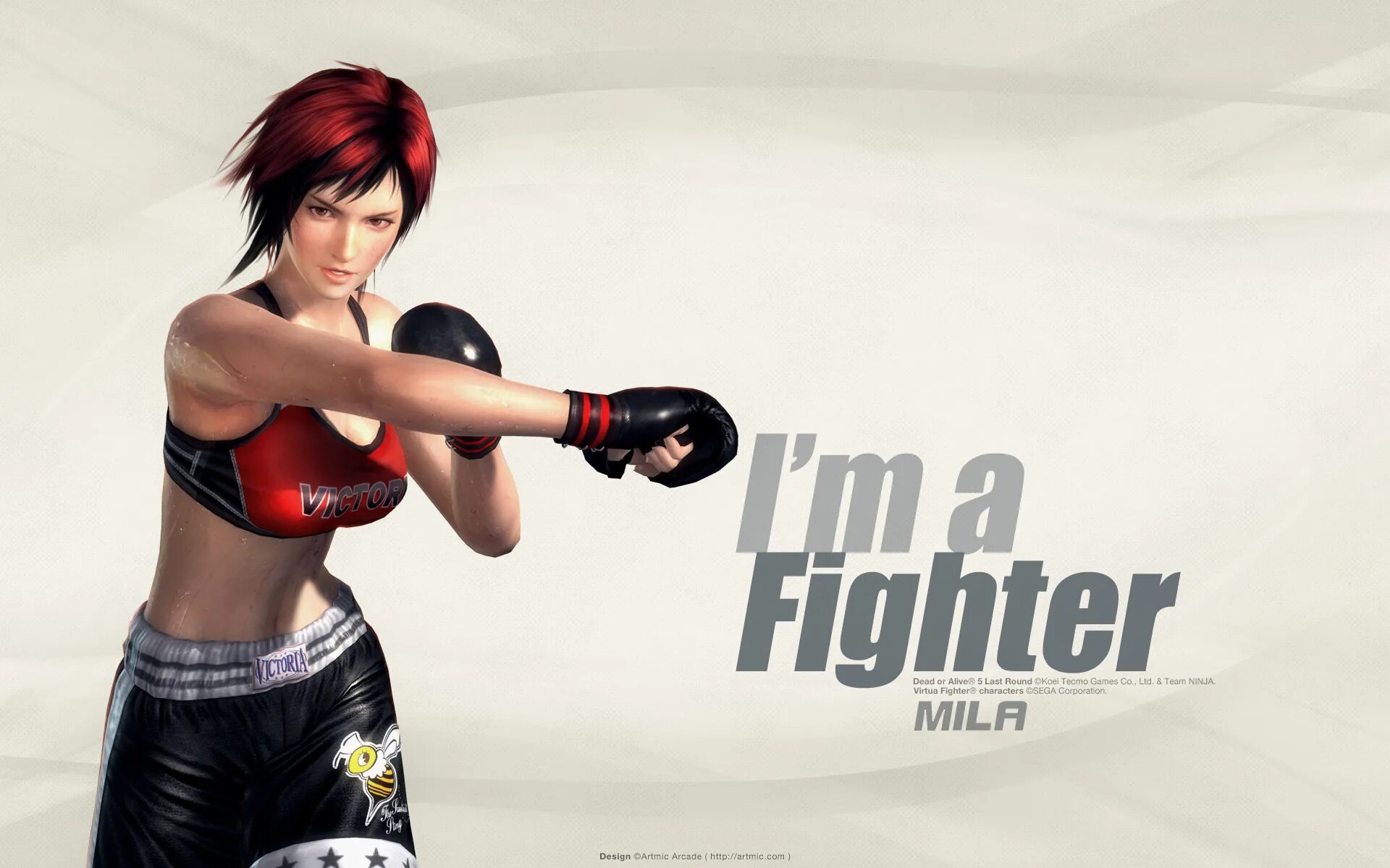 Alive fighter. Ласт раунд. плейстейшен дэд ор элайв 5. обои с бойцами doa 5. dead or alive 5 мила.