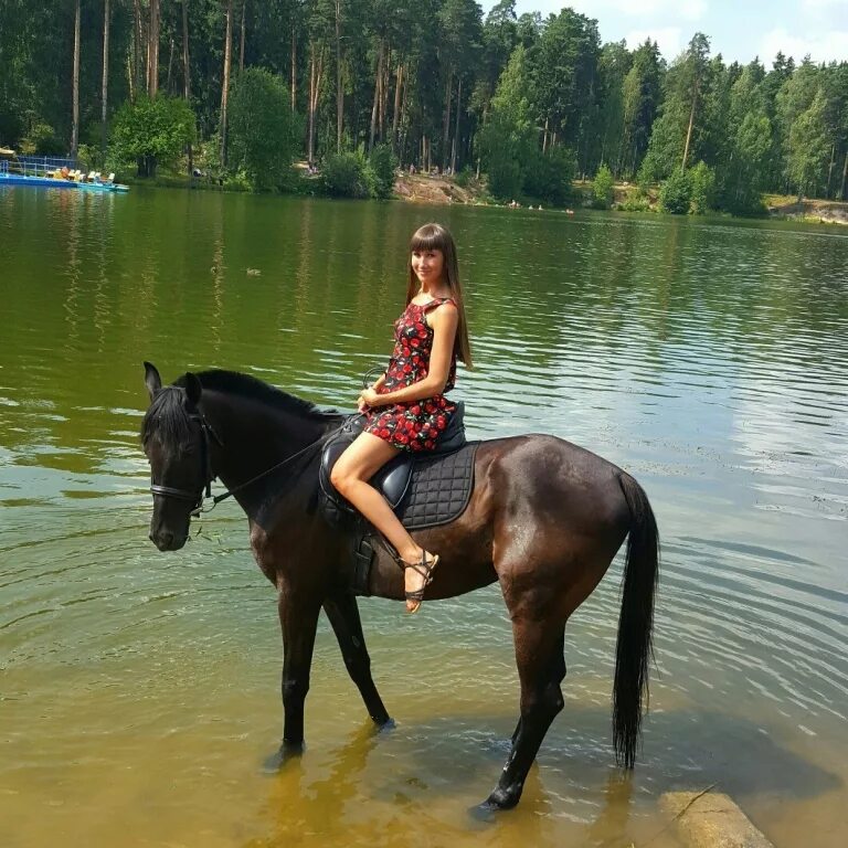 Где покататься на коне. Покататься на лошадях. девушка катается на лошади. покатать на лошади. место для катания на лошадях.