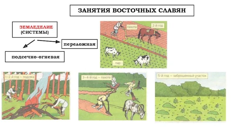 Как называется система земледелия у славян. Подсечно-огневая система земледелия у славян. подсечно огневая система земледелия у восточных славян. переложное земледелие восточных славян. переложная система земледелия иллюстрации.