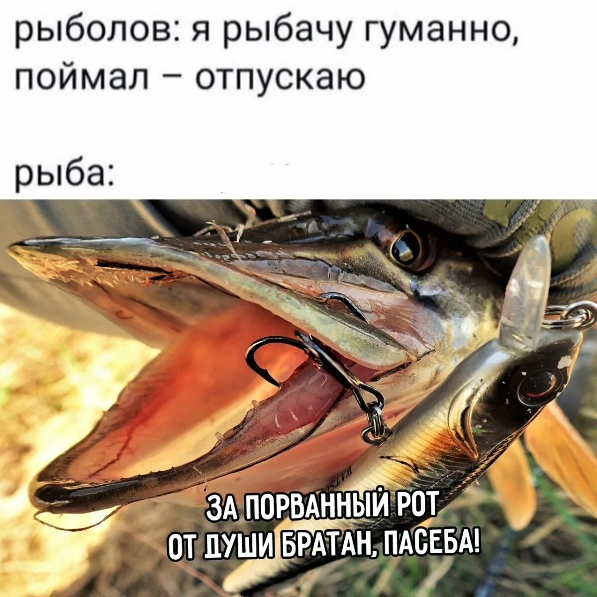 Не смейся а то рот порвешь