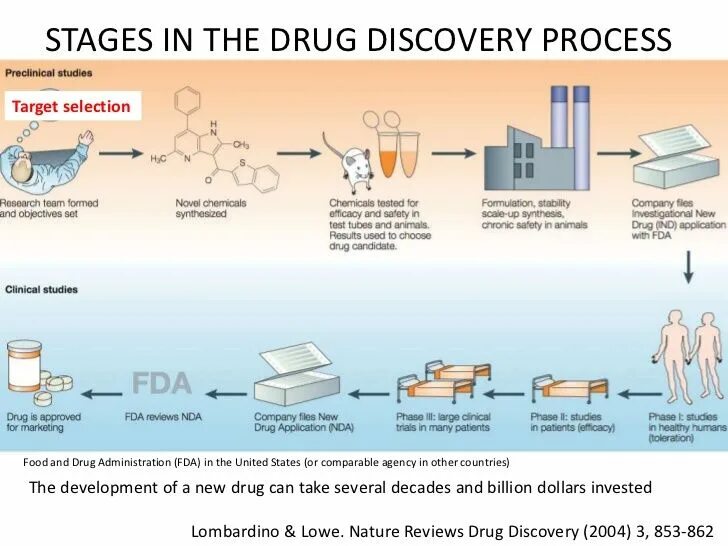 Role in the process of. Drug discovery process. drug development. drug screening. application drug.