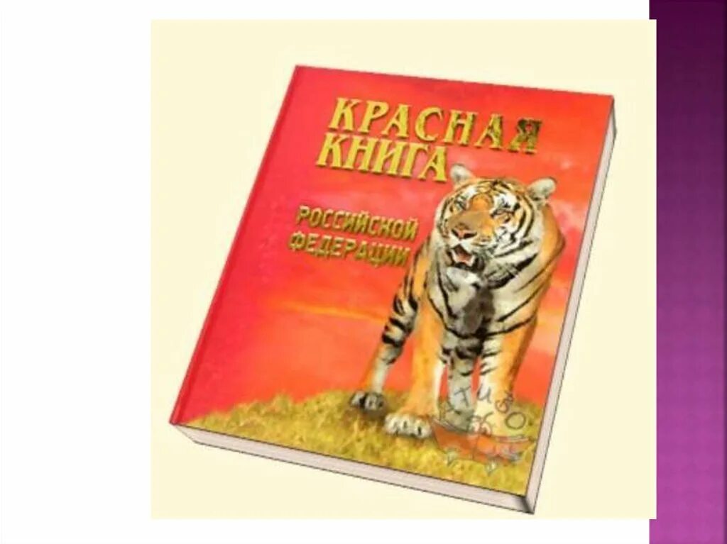 Красная книга рисунок. По страницам красной книгиэ. Красная книга презентация. Международная красная книга. Рисунок красной книги 4 класс окружающий мир.