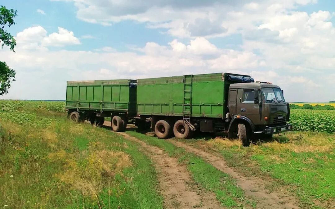 КАМАЗ 53212 зерновоз. КАМАЗ 5320 бортовой зерновоз. КАМАЗ 53212 зерновоз с прицепом. КАМАЗ 54212 зерновоз.