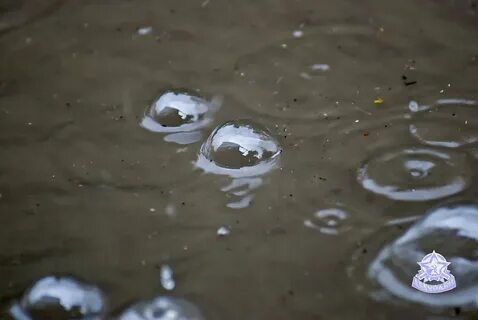 Почему на лужах пузыри во время дождя