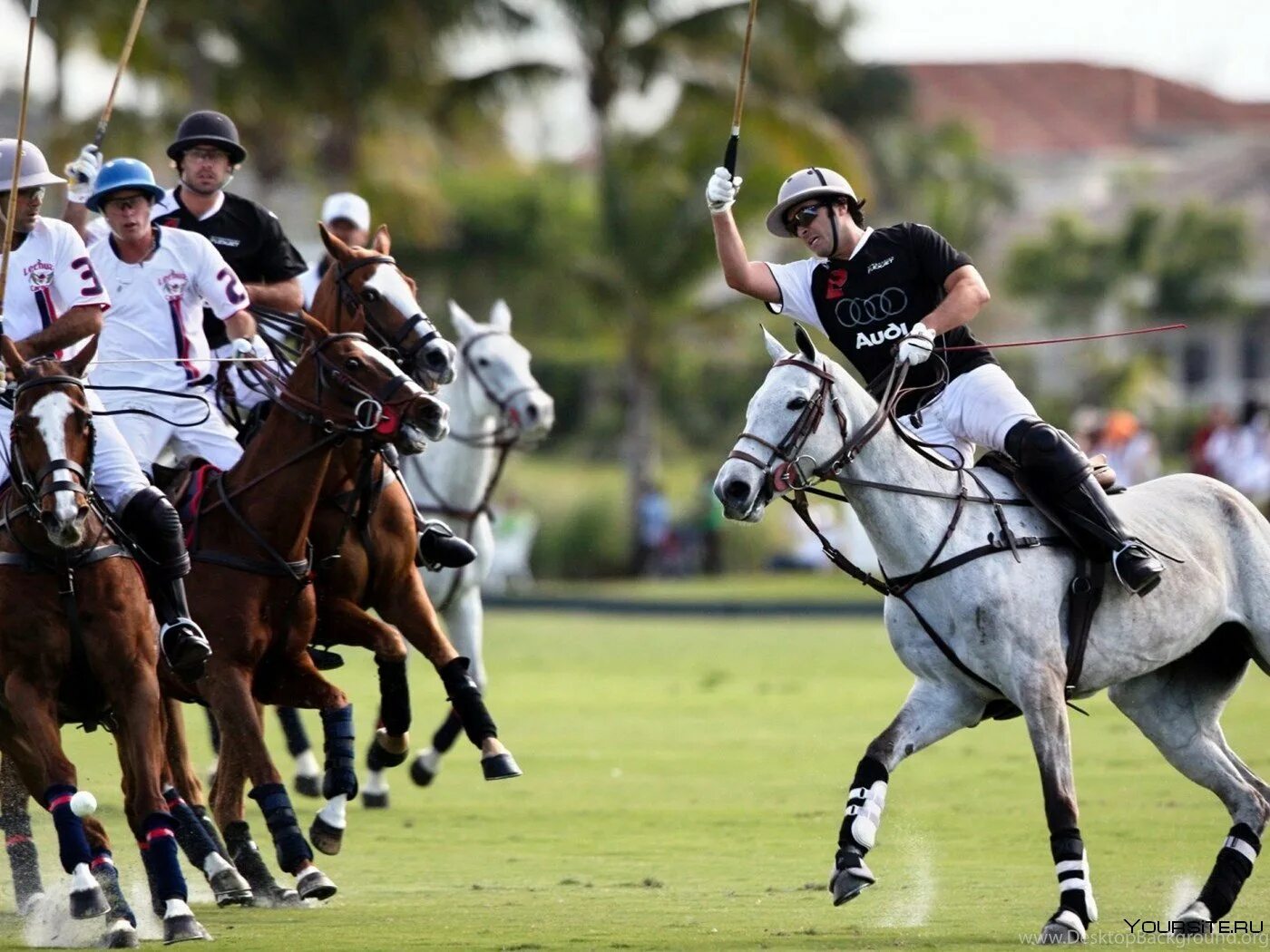 National sports. Поло вид спорта. Поло в Великобритании. Гольф на лошадях. Спорт в Великобритании.