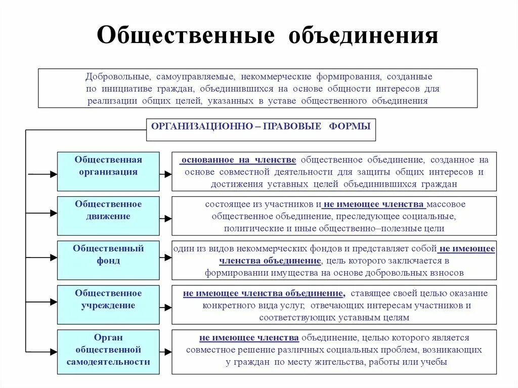 Особенности реализации свобод. Классификация общественных объединений схема. Общественные объединения виды общественных объединений. Виды общественных объединений по законодательству РФ. Общественные объединения Конституционное право.